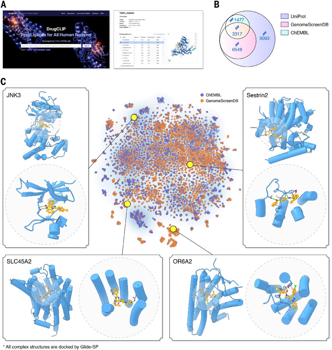 ScienceMagazine's tweet image. In a new Science study, researchers introduce DrugCLIP, a contrastive learning framework that virtually screens small molecules and protein pockets, analyzing protein-ligand interactions 10 million times faster than most standard molecular docking approaches.…