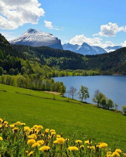 Good morning 🌅
Have a great day 😊