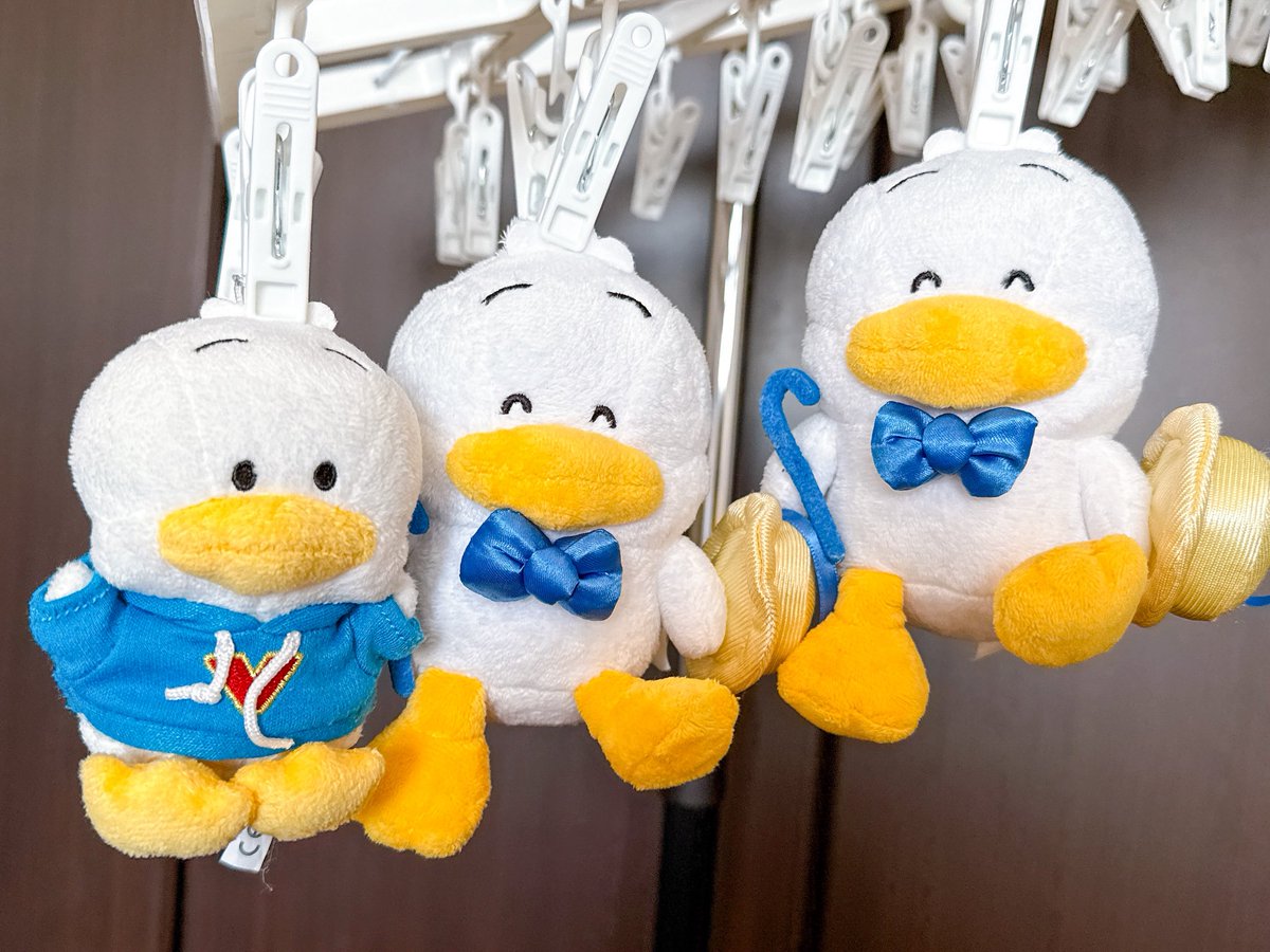 みっちゃん (@pekkle_micchan) / Posts / X