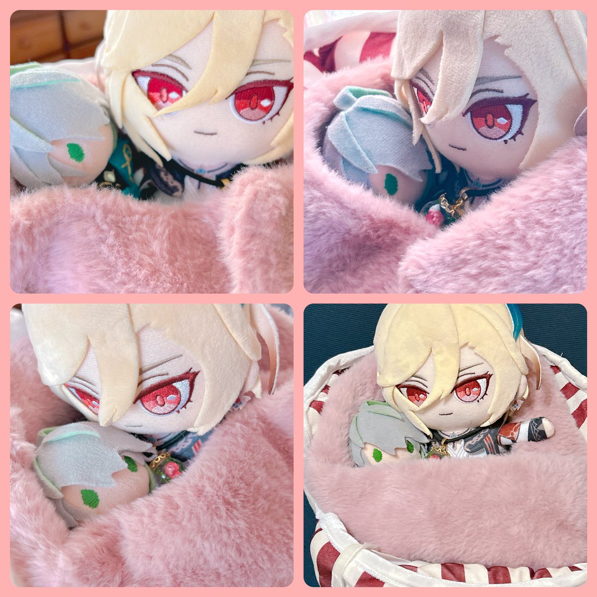 Ramroomlime's tweet image. (∩´ `∩)かーべ✨
ばぶゼンとカヴェぬいのふわふわあったか写真❣️