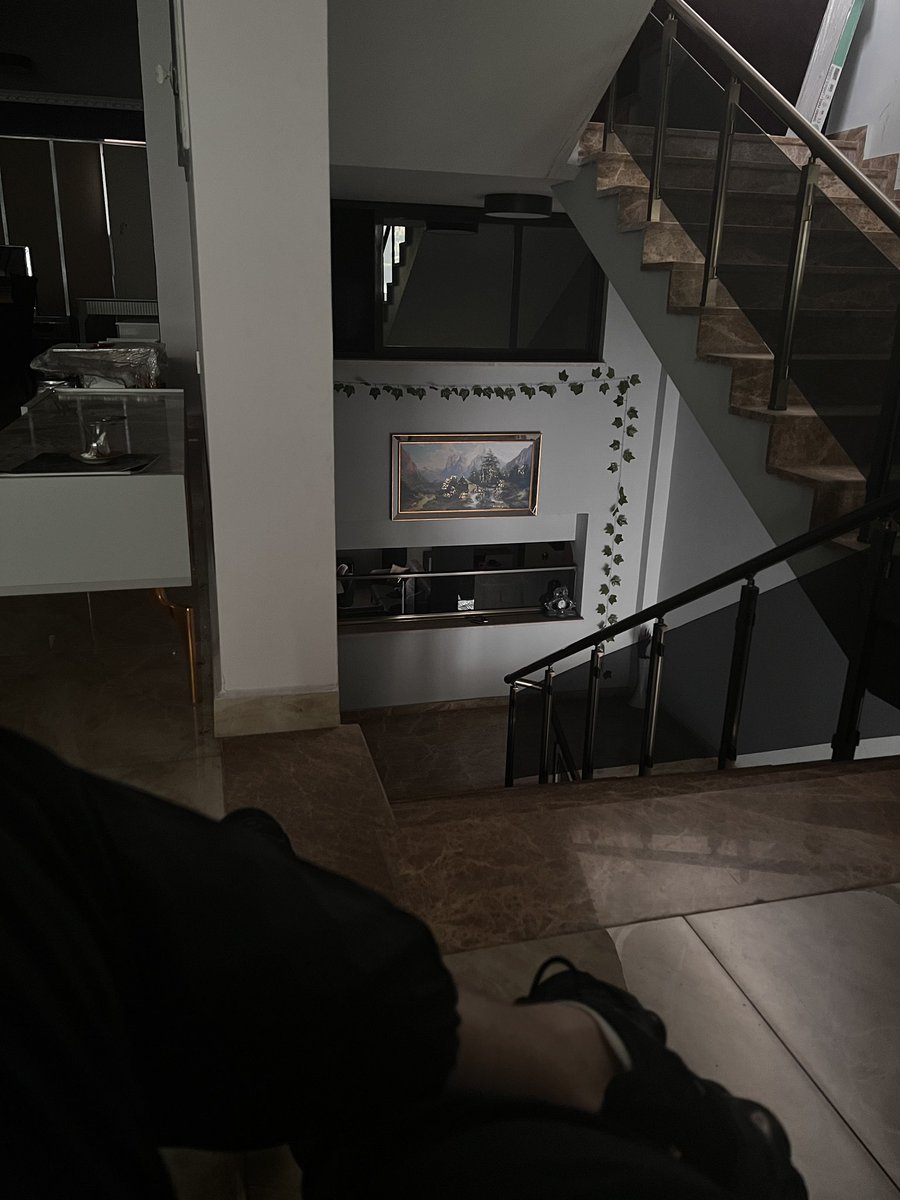 TürkAlphaÇakır 0,7k 🇹🇷🦁 tweet media