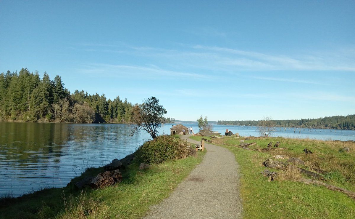 Walk today at Woodard  Bay, used to be a log dump for Weyerhaeuser  at the end of the rail line. Now converted to bike and pedestrian trails except for this last mile. Dozens of Blue herons on the pier with a bat colony underneath, 
Just north of Olympia WA