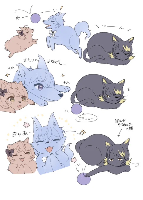 一緒に遊びたいっ!🍑🐑🐕 