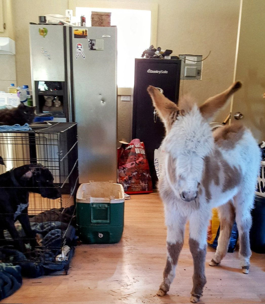 If you're cold, they're cold. XD

Beat Saber map idea:
Thinkin of commissioning the Praying song by Kesha. I'm very not religious, &amp; I don't forgive my abuser, but it got me through a lot. 

Ideas on things to ask for? Maybe something for that lil scream she does in the middle.