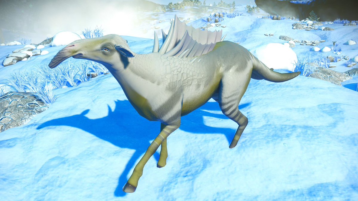 May your days be as silly and happy as this lovely aard is having💜