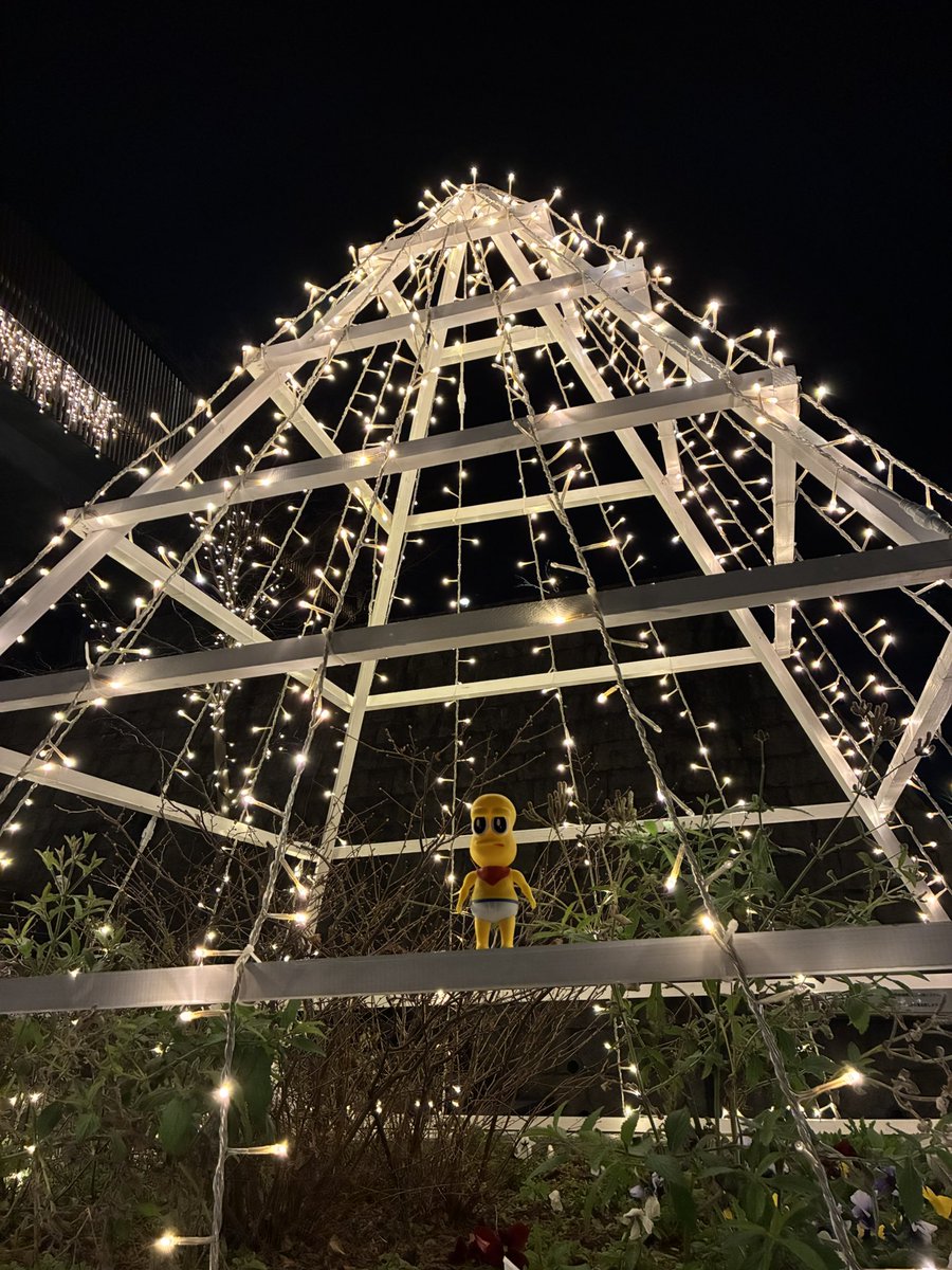 はゆり (@1ovemetro) on Twitter photo 