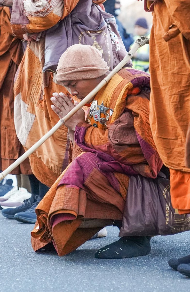 Thank you  I will do MY best to spread Peace and Kindness It’s so inspiring to watch everyone come to see the Monks and offer flowers water shoes coats Etc There is kindness in this world we just needed to be reminded ✌️
#WalkForPeace #AlokathePeaceDog🌿🪷