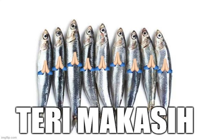 Enih thank you banget loh Dominic, si baik hati, pandai menabung, suci dalam pikiran, perkataan dan perbuatan, Rajin, terampil, dan gembira, Hemat, cermat, dan bersahaja.
Lalu... Disiplin, berani, dan setia.