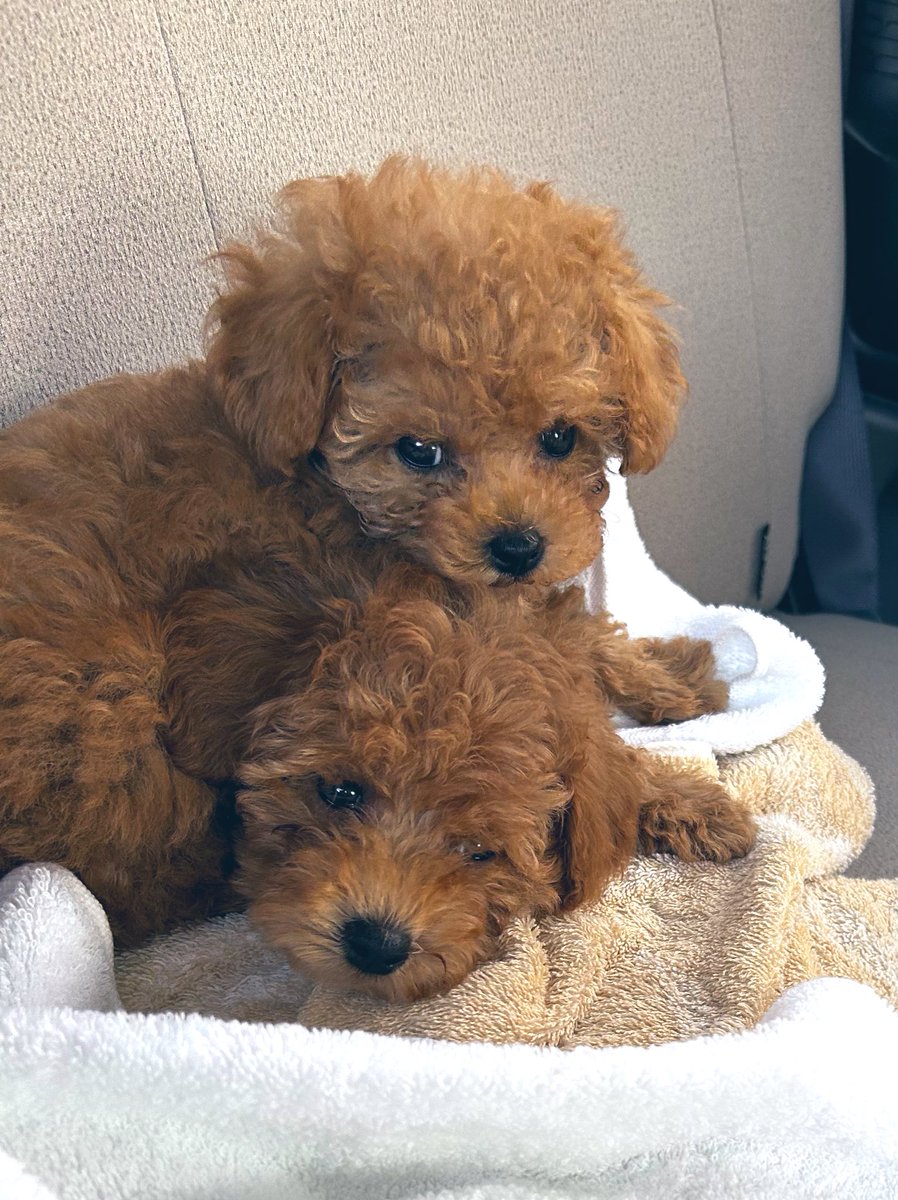 かずちゃん (@kazu13chan) / Posts / X