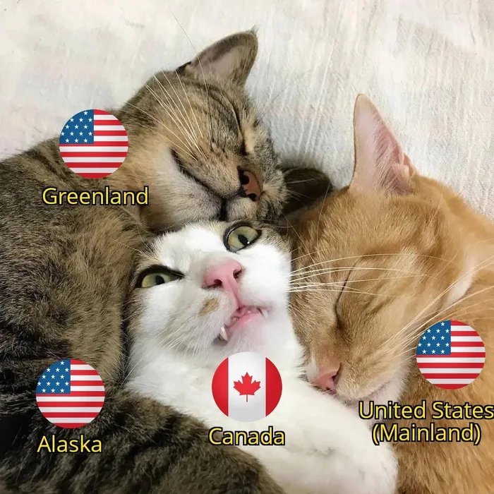 jayroo69's tweet image. Soon.....