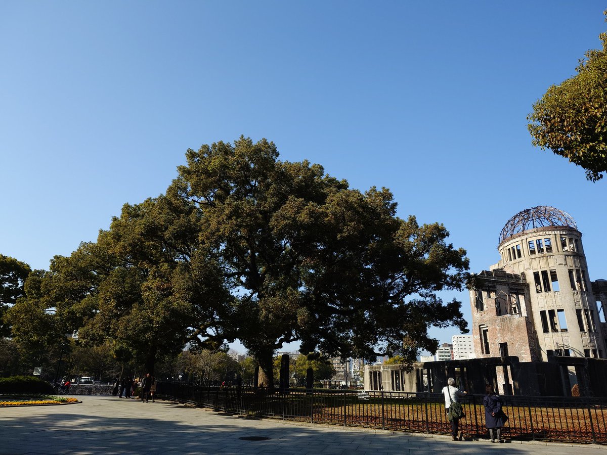 恒例の病院待ち時間の平和公園🕊️
真冬の平和公園も観光客がたくさんおってです。(なるべく写らないように撮ってる)
冬の公園も冬っぽくていいな🕊️