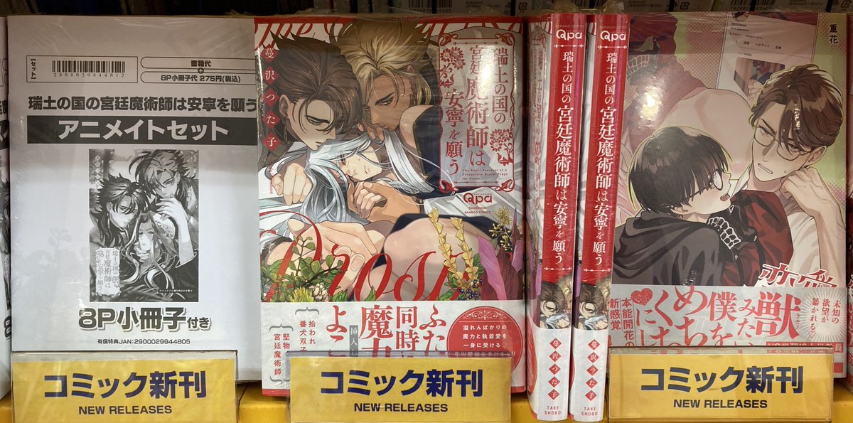 ⭐︎写真集＋パンフレット　セット 📚書籍入荷情報②📚】 「瑞土の国の宮廷魔術師は安寧を願う アニメイト