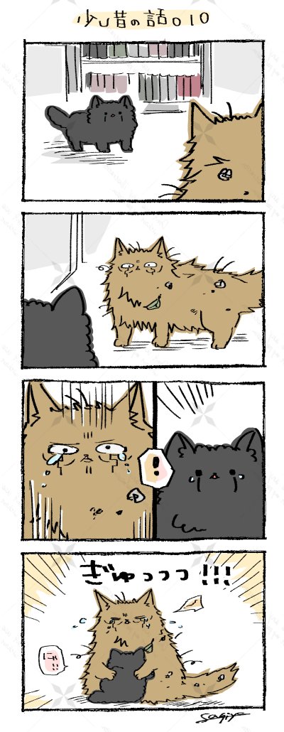 つづき。
さかのぼってみたら、ニャーターさんとにゃすくんがはぐれちゃったの昨年の9月でした。すみませんでした😂🙏