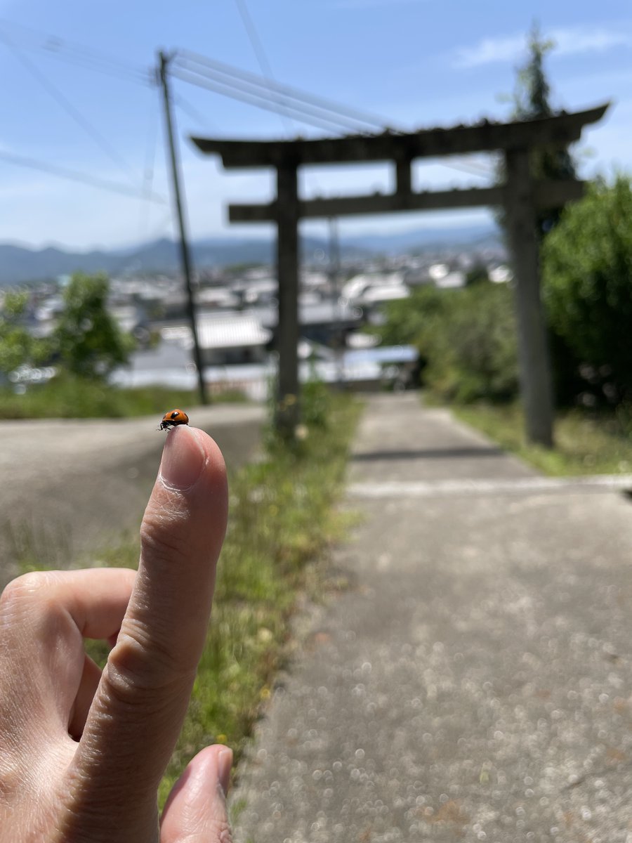 細川文昌 (@hosokawa_f) / Posts / X