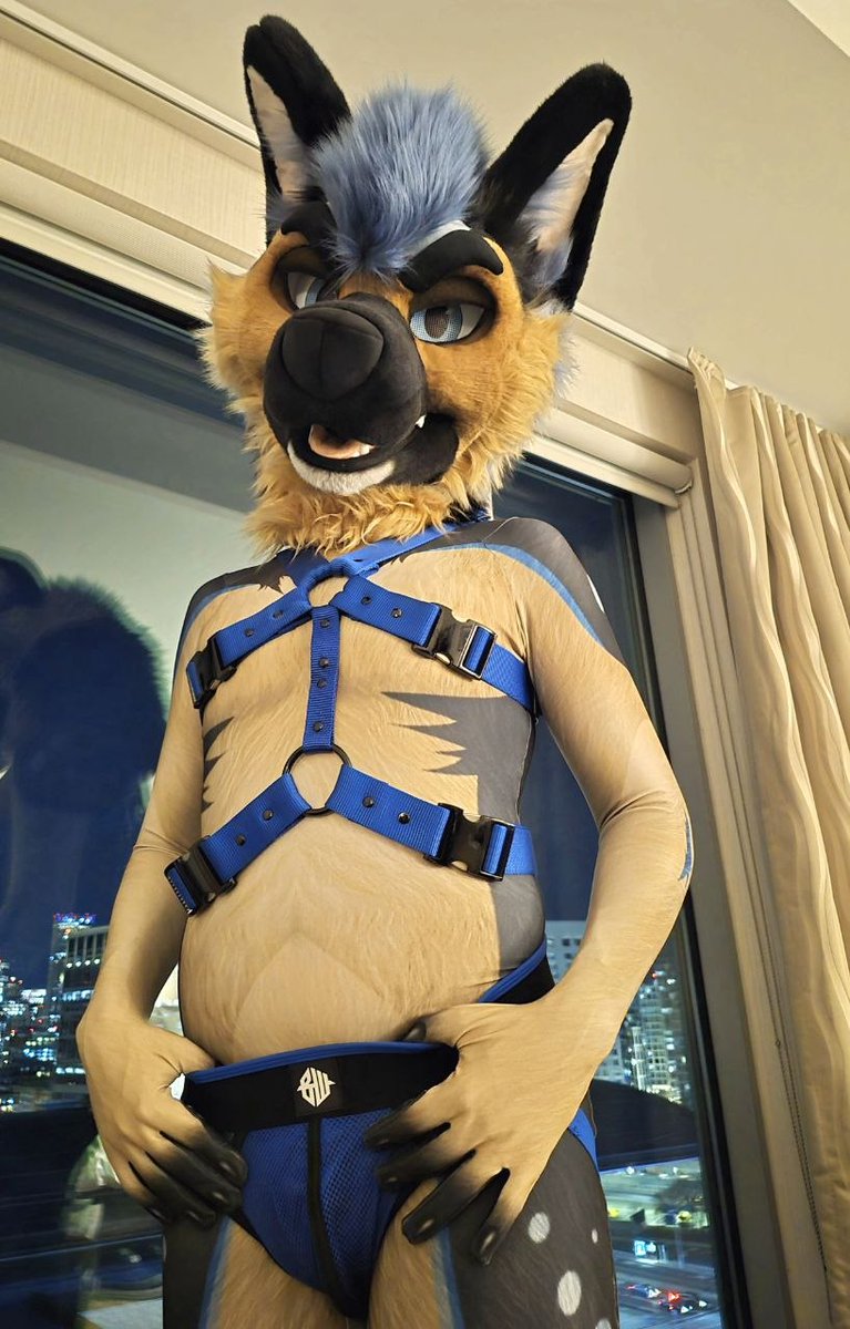 PupKnots's tweet photo. Gonna keep staring or what? 😈 https://t.co/eRtdLquDq4