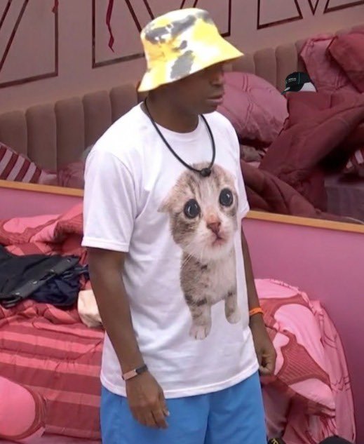 plagiu's tweet image. nao acredito