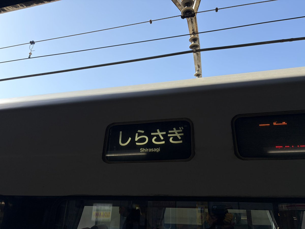 銀猿 tweet media