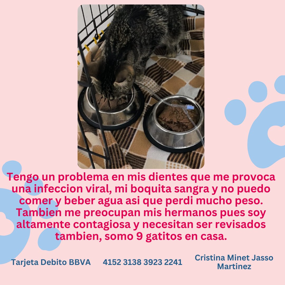 ᅠ ᅠ­ ­ ­ ­ ­ ­ ­ᅠ 〲 𝗠 𝗜 𝗡 𝗘 𝗧 ♡ (@mineto_rol) on Twitter photo 