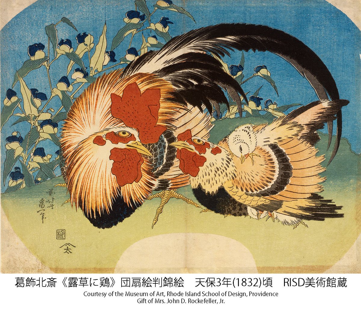 アメリカから北斎、広重らの花鳥版画が35年ぶりに里帰り🌸🦜「ロックフェラー・コレクション花鳥版画展