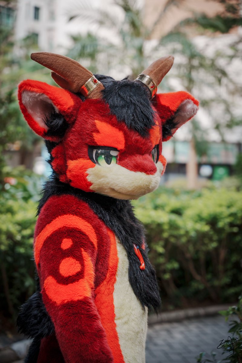 凯特冥 tweet media