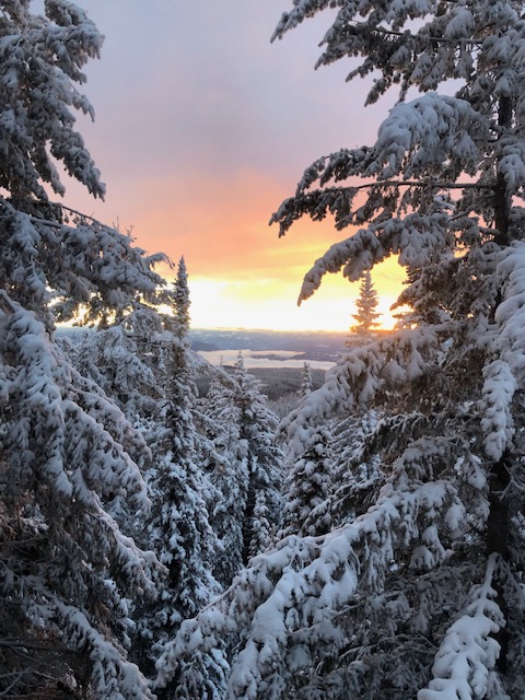 Chenmark tweet media