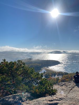 Chenmark tweet media