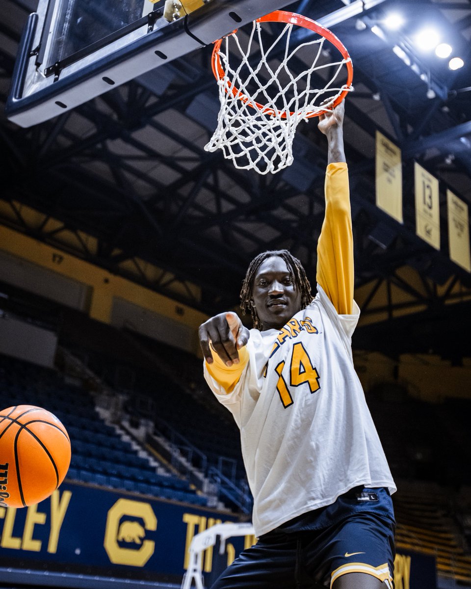 Cal Basketball tweet media