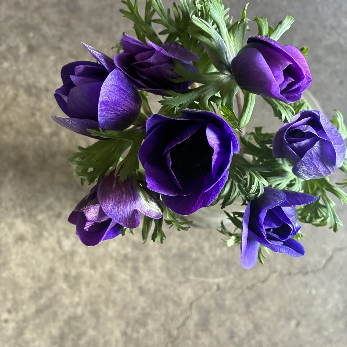 さくらんぼ Sakuranbow (@sakuranbow20) / Posts / X