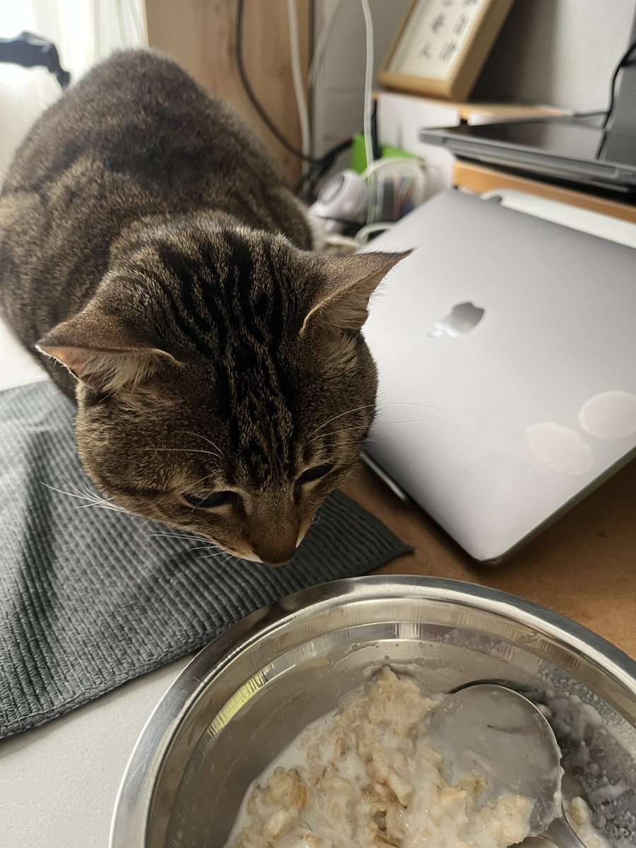 kylegeeks's tweet image. Good Sleep