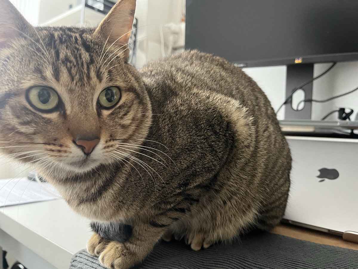 kylegeeks's tweet image. Good Sleep