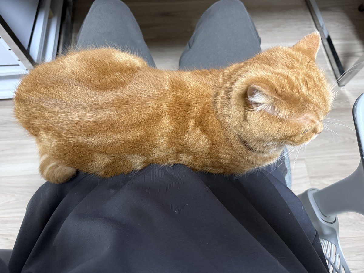 にゃむ (@nyamuchannel) / Posts / X