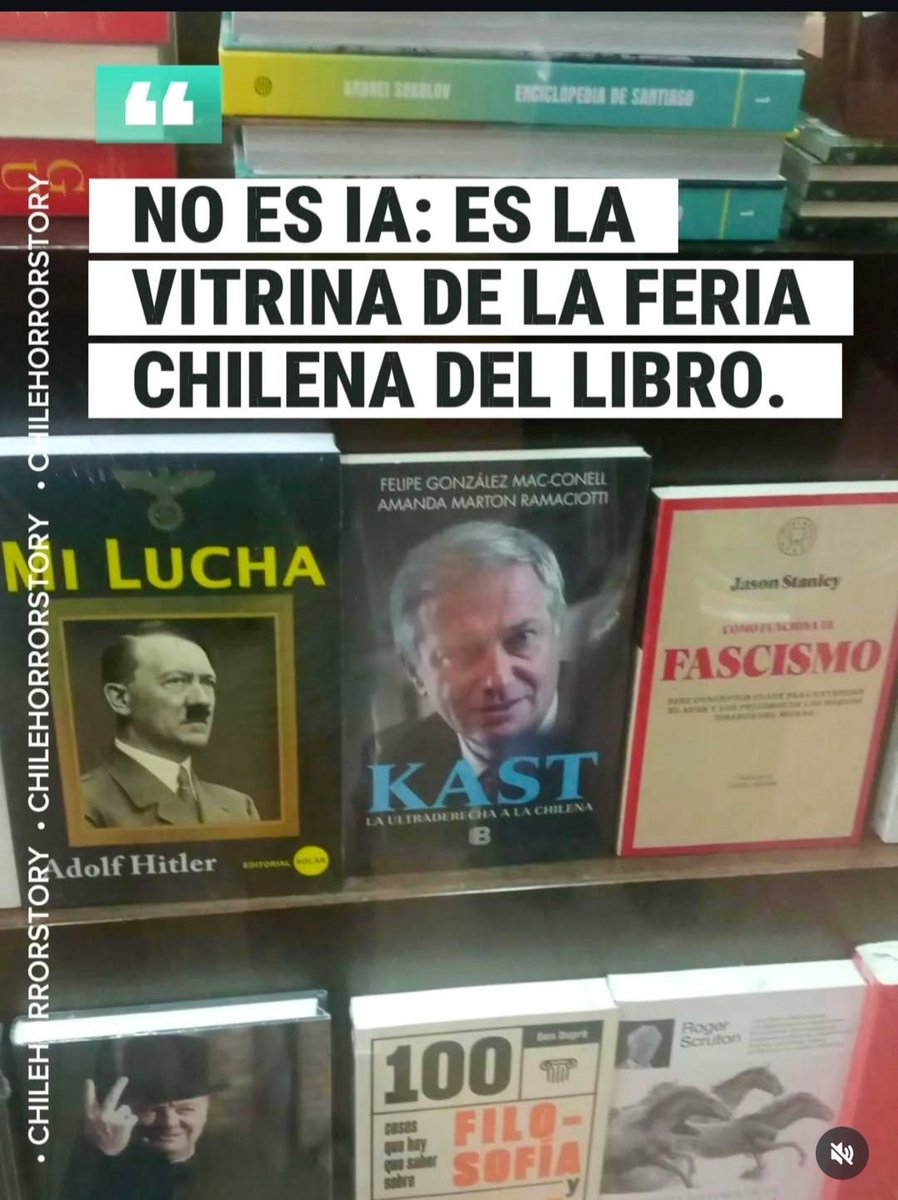 disidenteschile's tweet image. No es IA, es la vitrina de una librería :