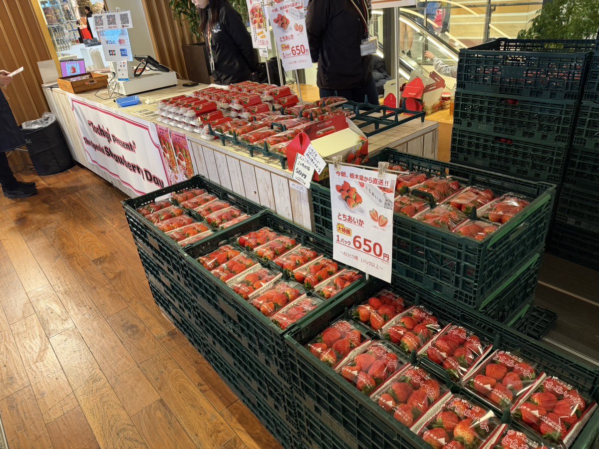 とちまるショップ (@tochimarushop) / Posts / X