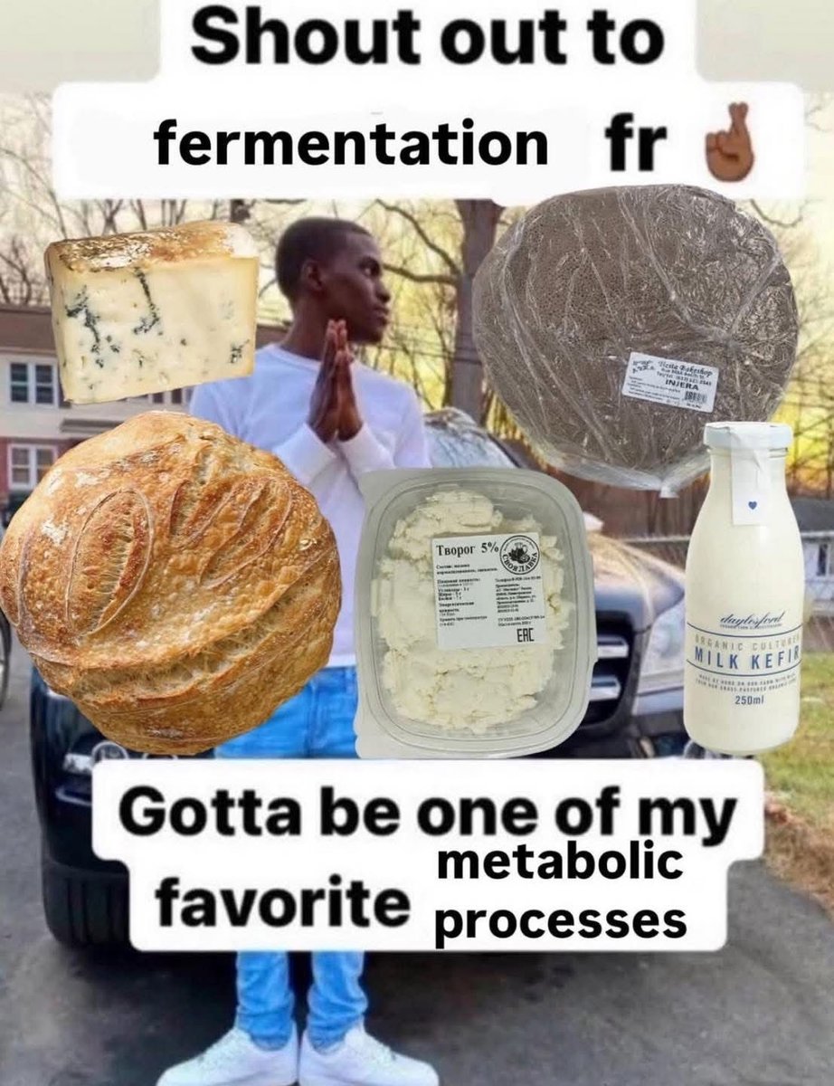 horse dentist (@equine__dentist) on Twitter photo 