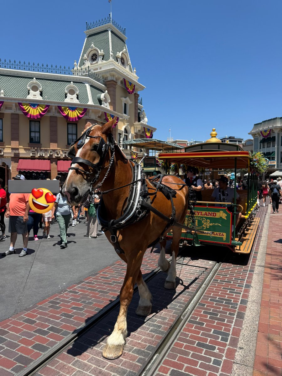 uu1986uu's tweet photo. KPのカリフォルニアディズニー見て
わたしも夏を思い出してまた行きたくなってる https://t.co/c63TrAt9eb