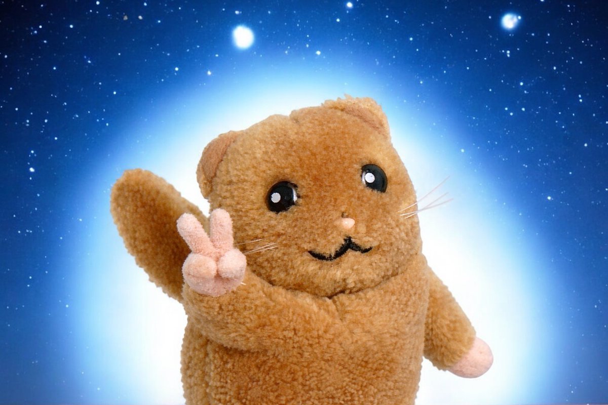 ymn_memoh's tweet image. 