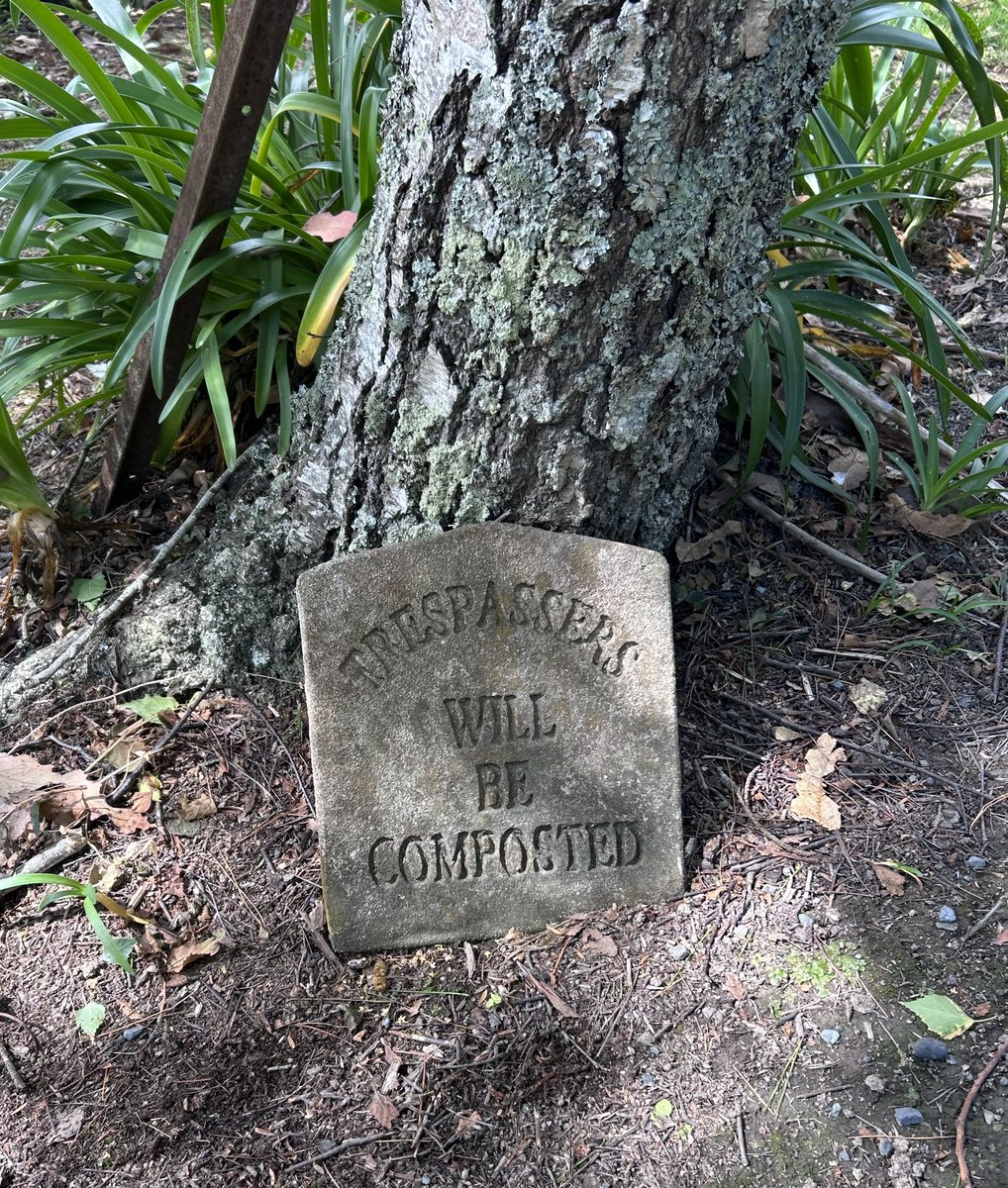 LEGRO's tweet image. Went for a walk and got lost lol