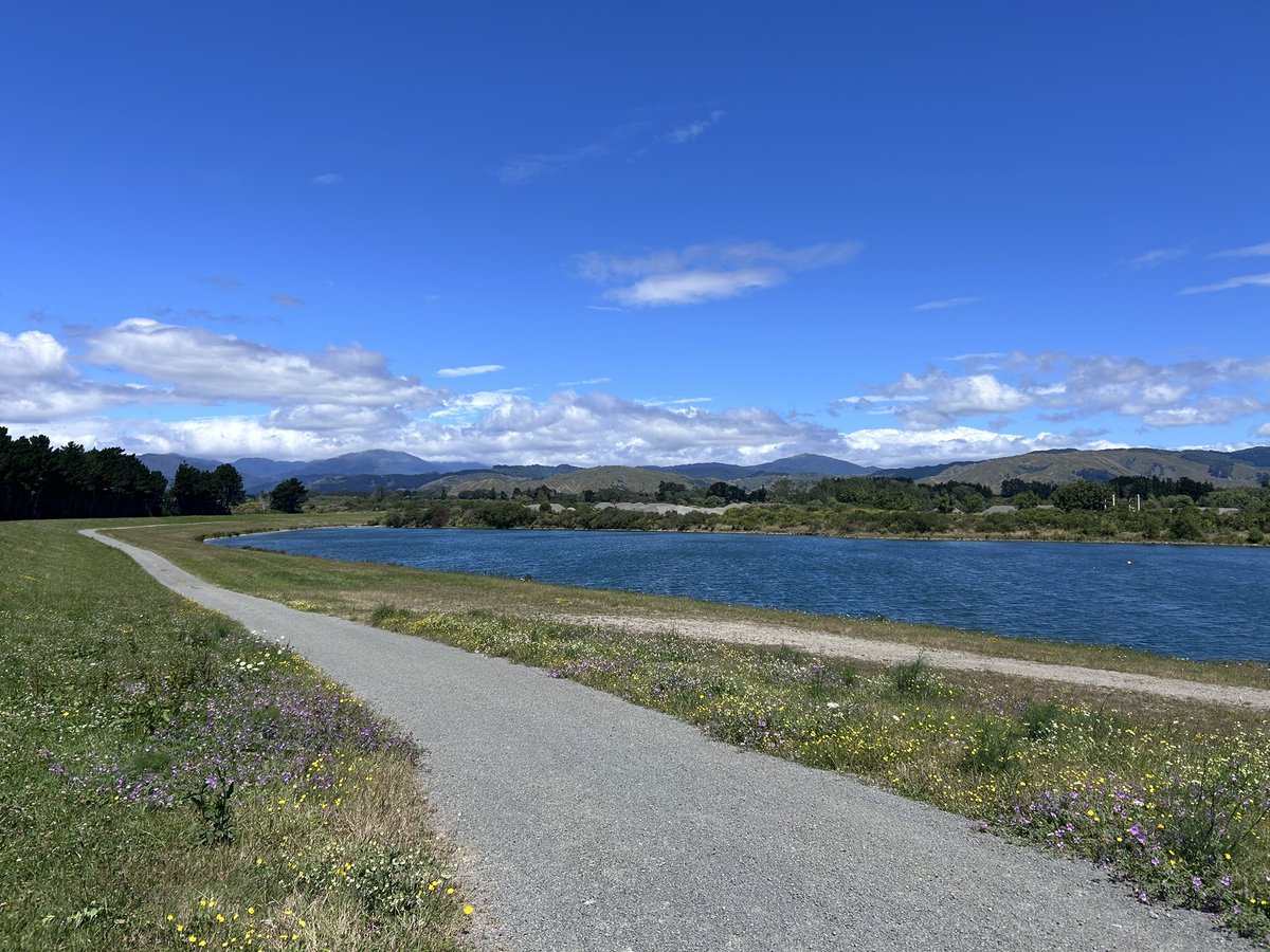 LEGRO's tweet image. Went for a walk and got lost lol