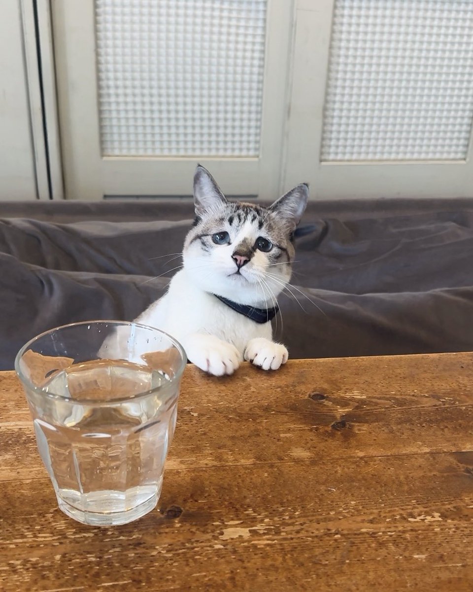 のーまーくん (@j44KMPlXzmq1CRb) / Posts / X