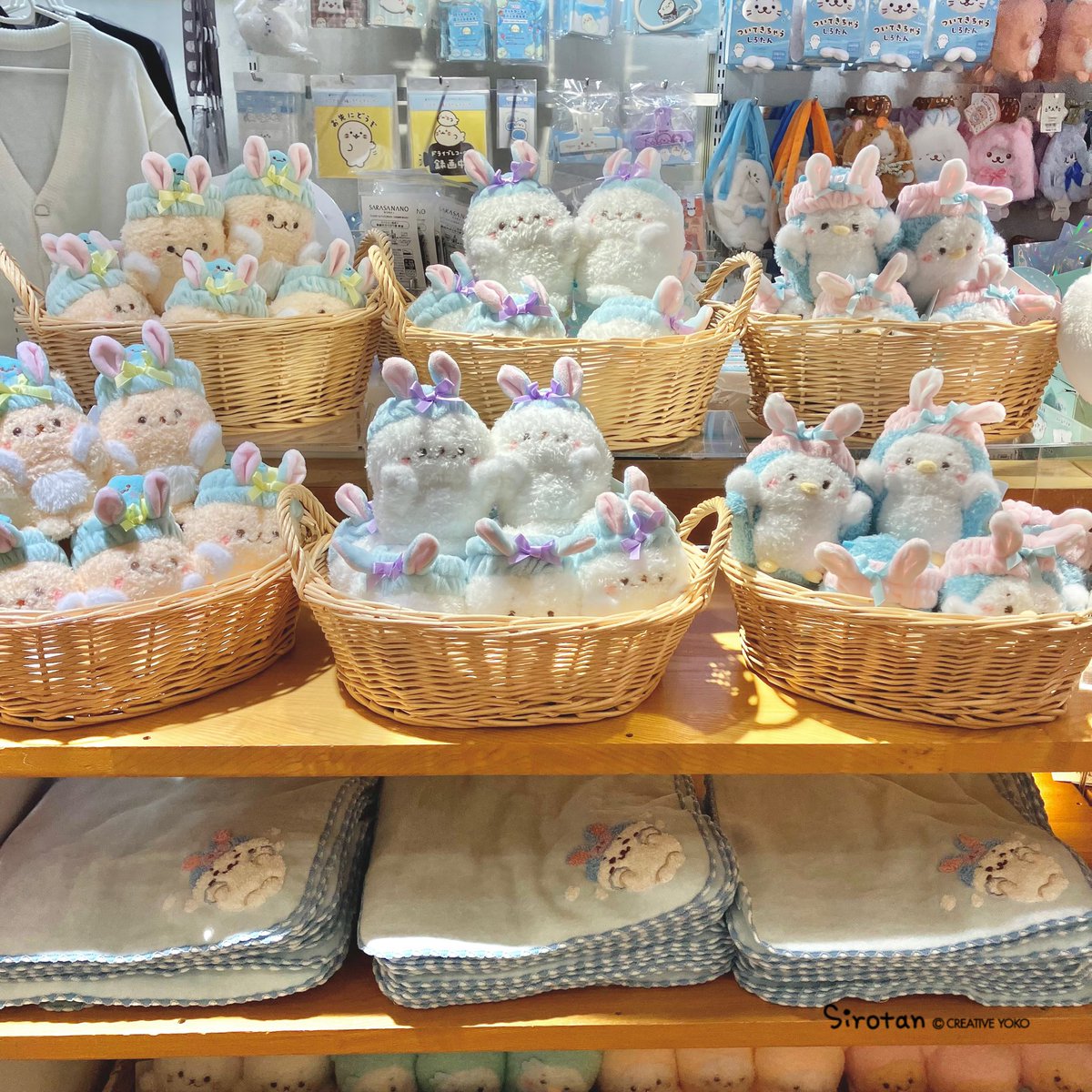 🫧名古屋ハンズゲートショップ「しろたんふんわりストア」OPENしました