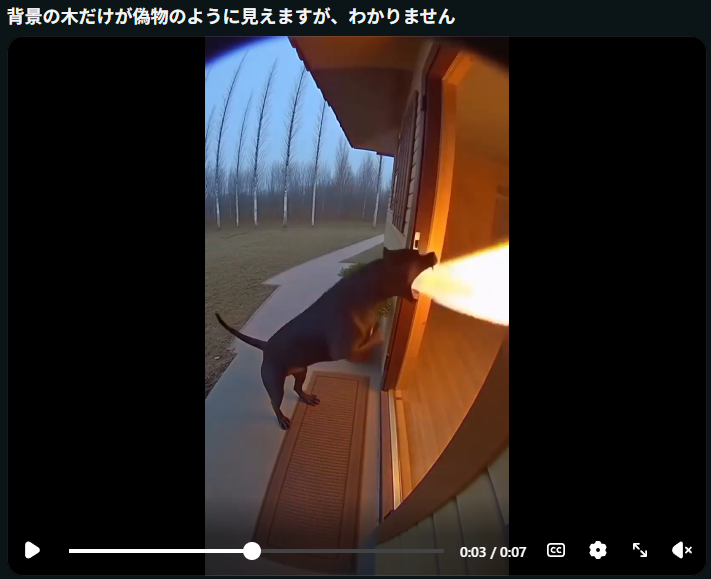 いつでもバケツ◆COkUXvBMu2 tweet media