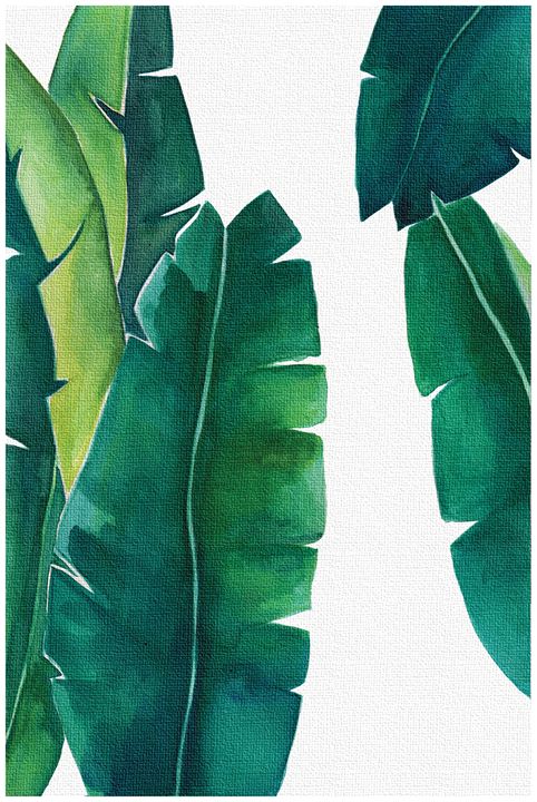 PDFDecor's tweet image. Art of the Day! "Banana leaf print, Botanical Print". Buy at: ArtPal.com/decorpdf?i=956…