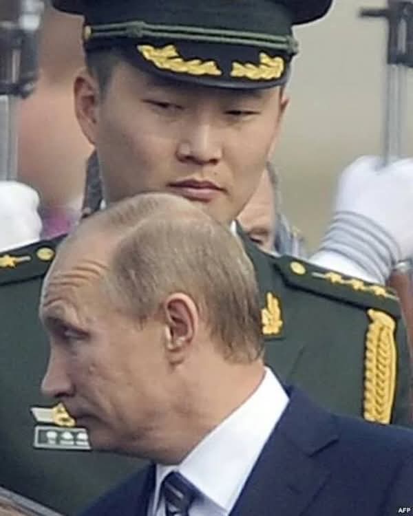 Olena Rohoza tweet media