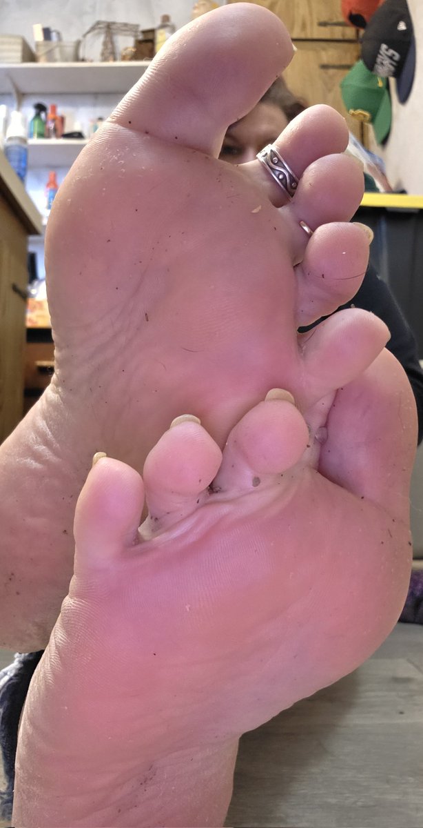 DanSoleman's tweet image. Goddess slipping out of her smelly flats in the office to allow me a quick sniff while nobody's watching. 
Its almost like she wants people to catch me being the foot sniffing loser i am! 😳👣🧎
@frillyfancyfree