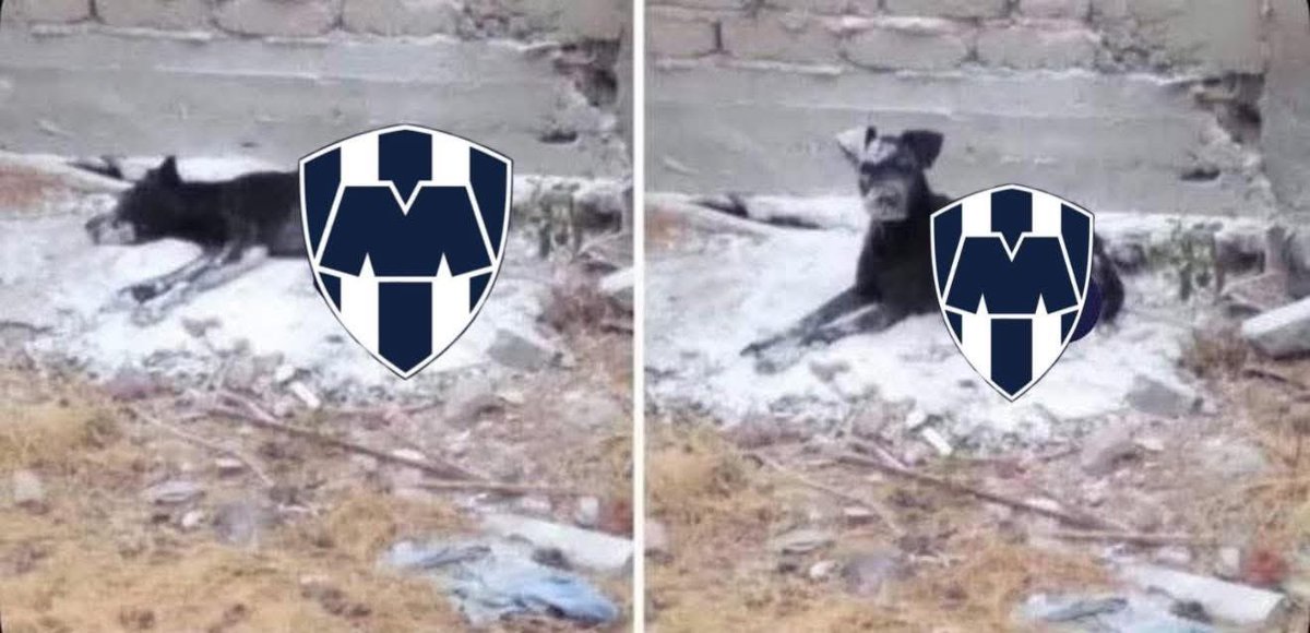 RayadosForLife's tweet image. Jornada 1 // Jornada 3