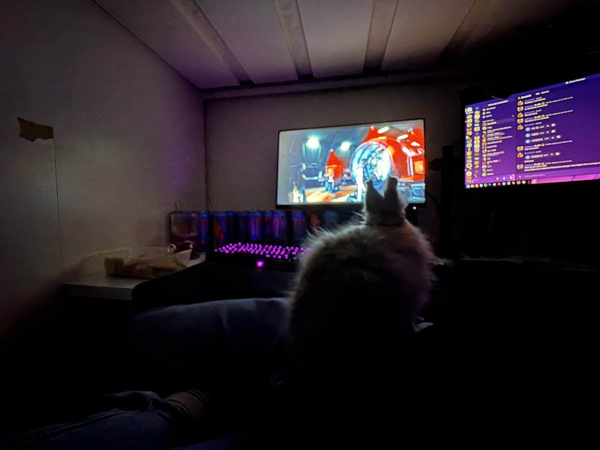 46Kelpie tweet media