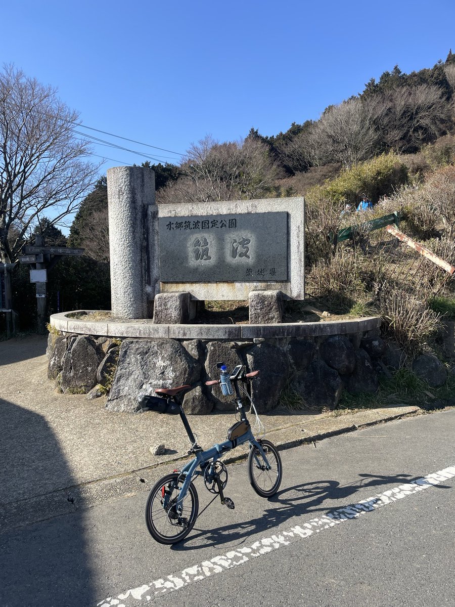 ＣＡＴ３０８ tweet media