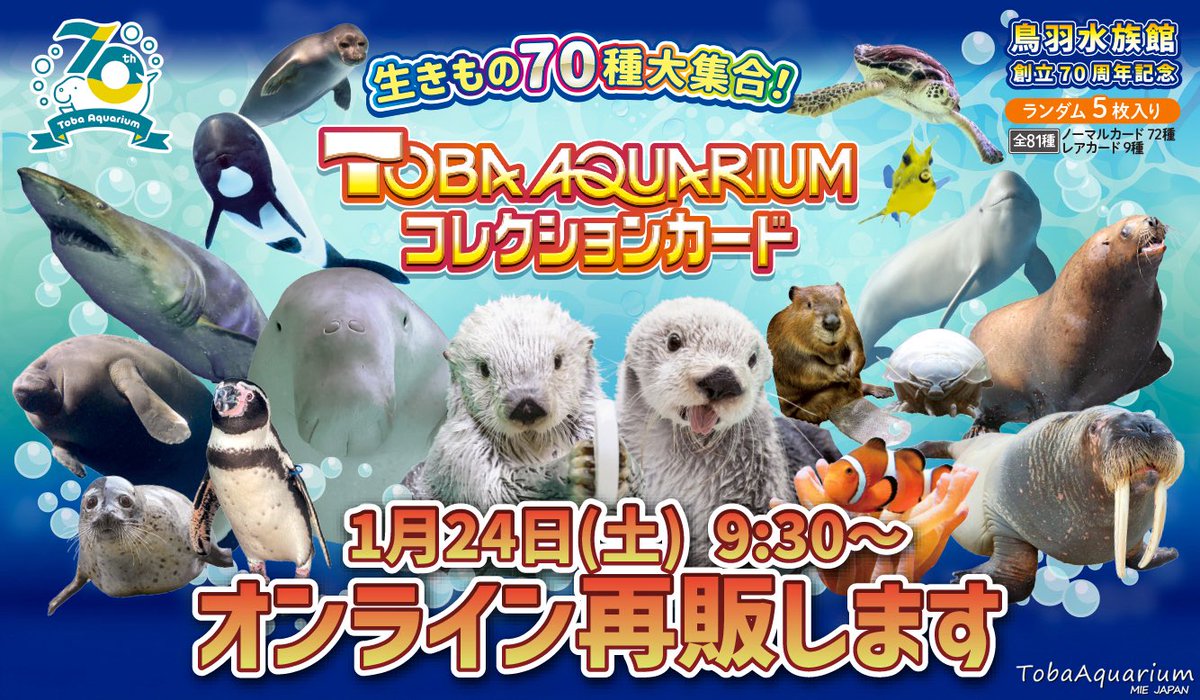 明日、1/24(土)9:30〜『TOBA AQUARIUMコレクションカードセット