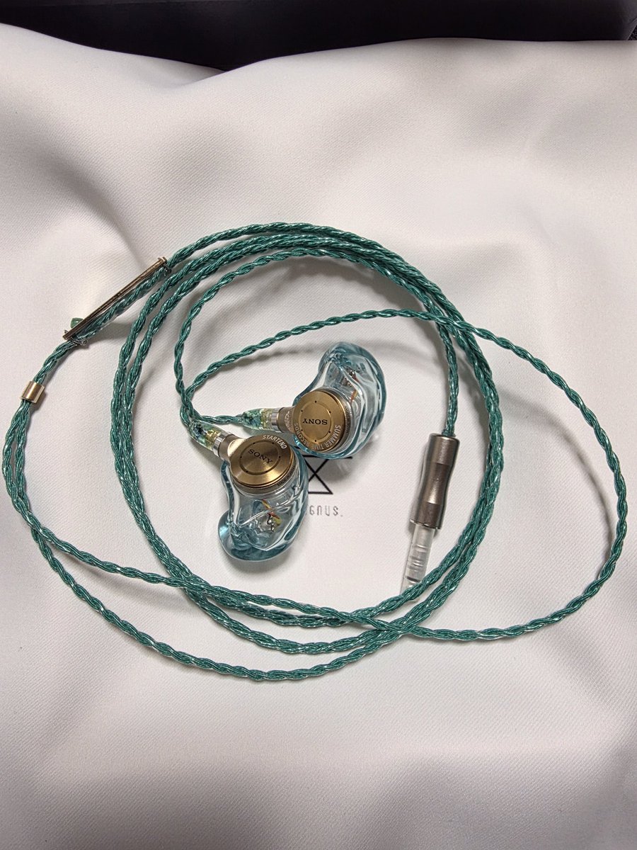 Wagnus._discipulus (@Toru_wagnus) / Posts / X