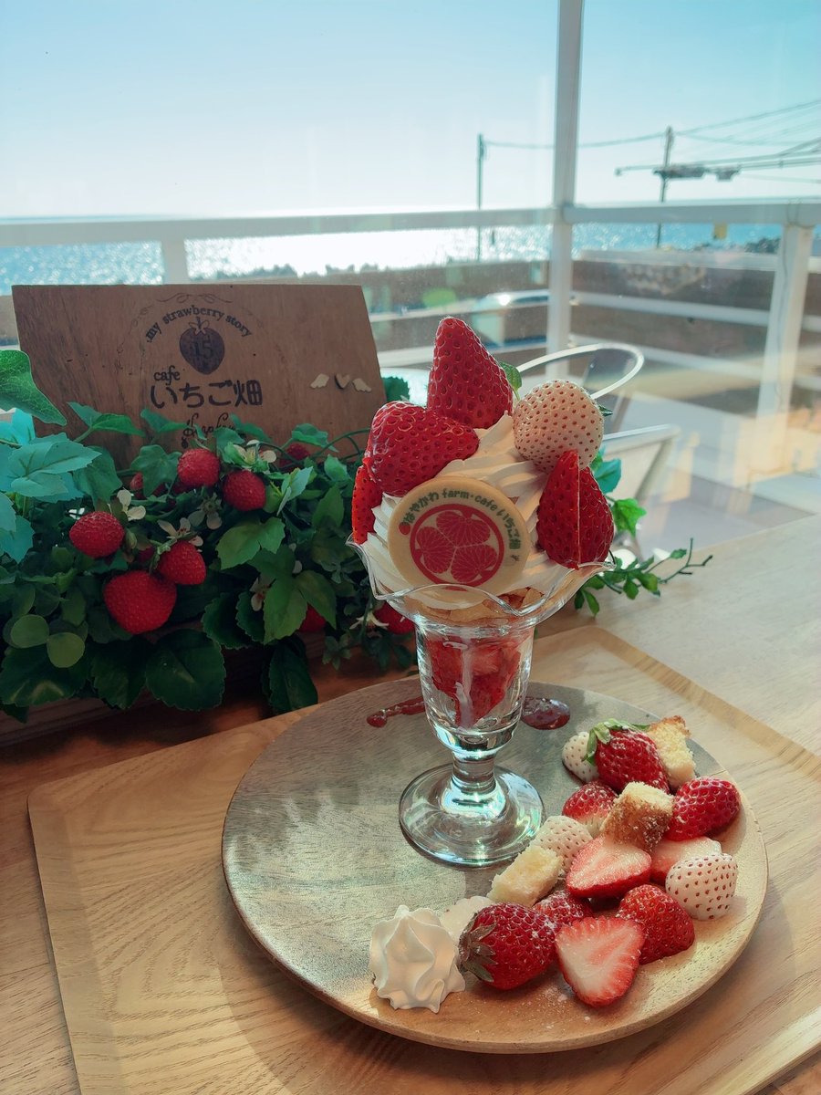 初めての白イチゴ🍓😳